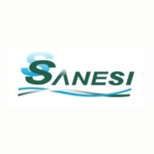 sanesiLogo